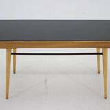 1960s Coffee Table With Opaxit Glass, Czechoslovakia