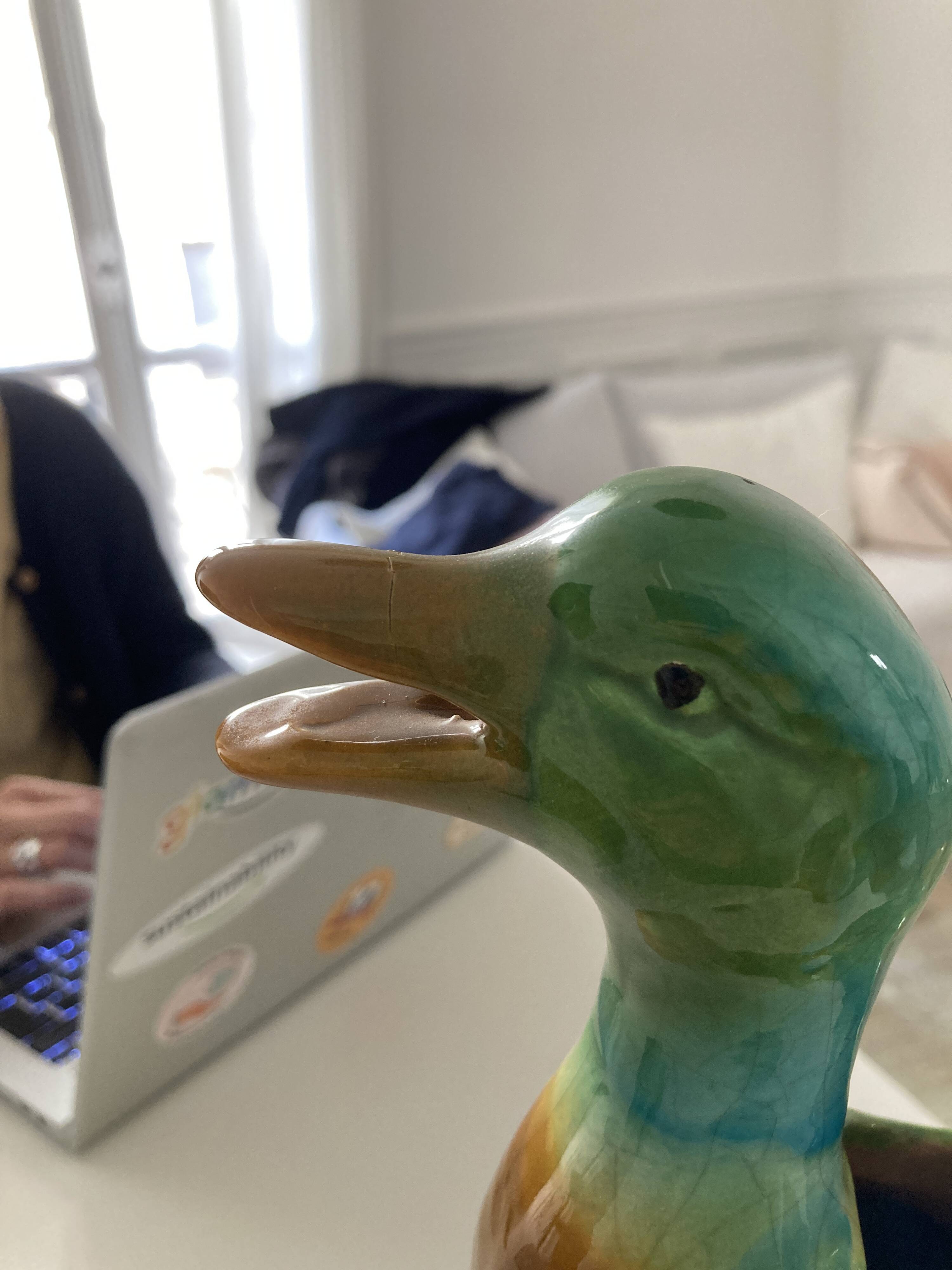 Duck carafe