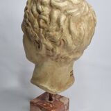 Bust of Hermes in patinated plaster on brown marble base, 34 cm