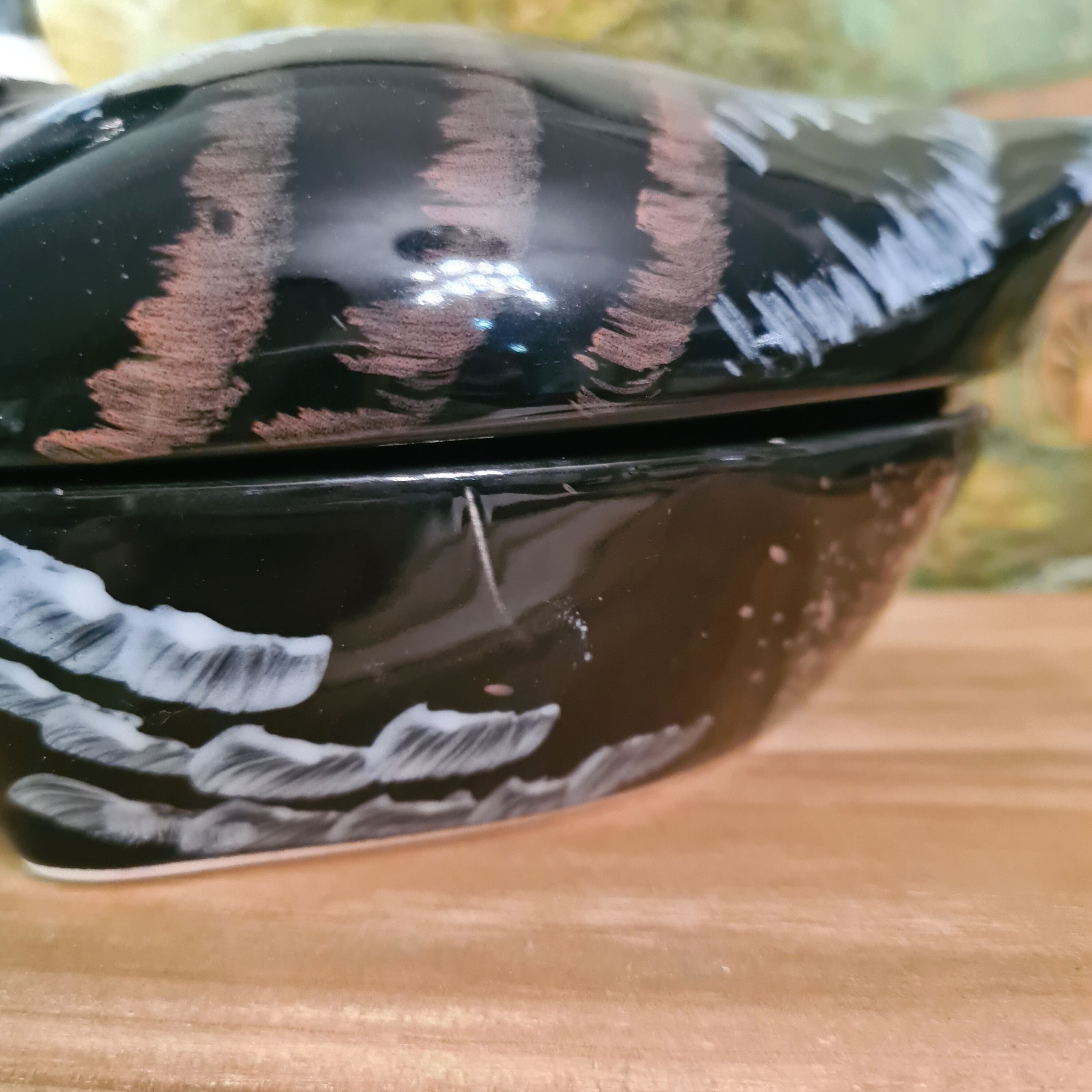 Terrine caugant duck