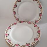 Assiettes à dessert en porcelaine de Limoges
