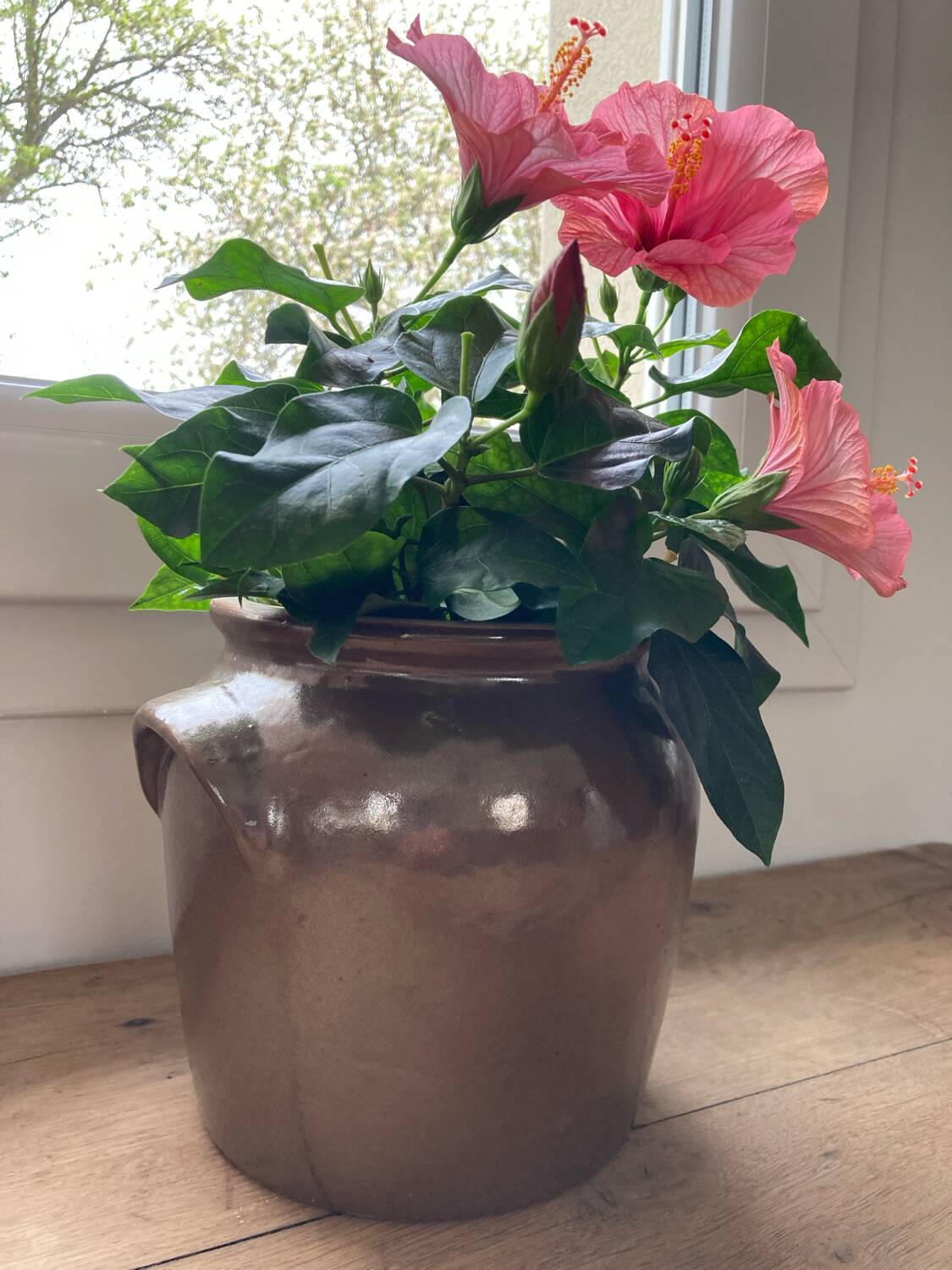Brown stoneware jar