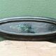 Fish dish, 1950s, in Vallauris ceramic, signed Humblot