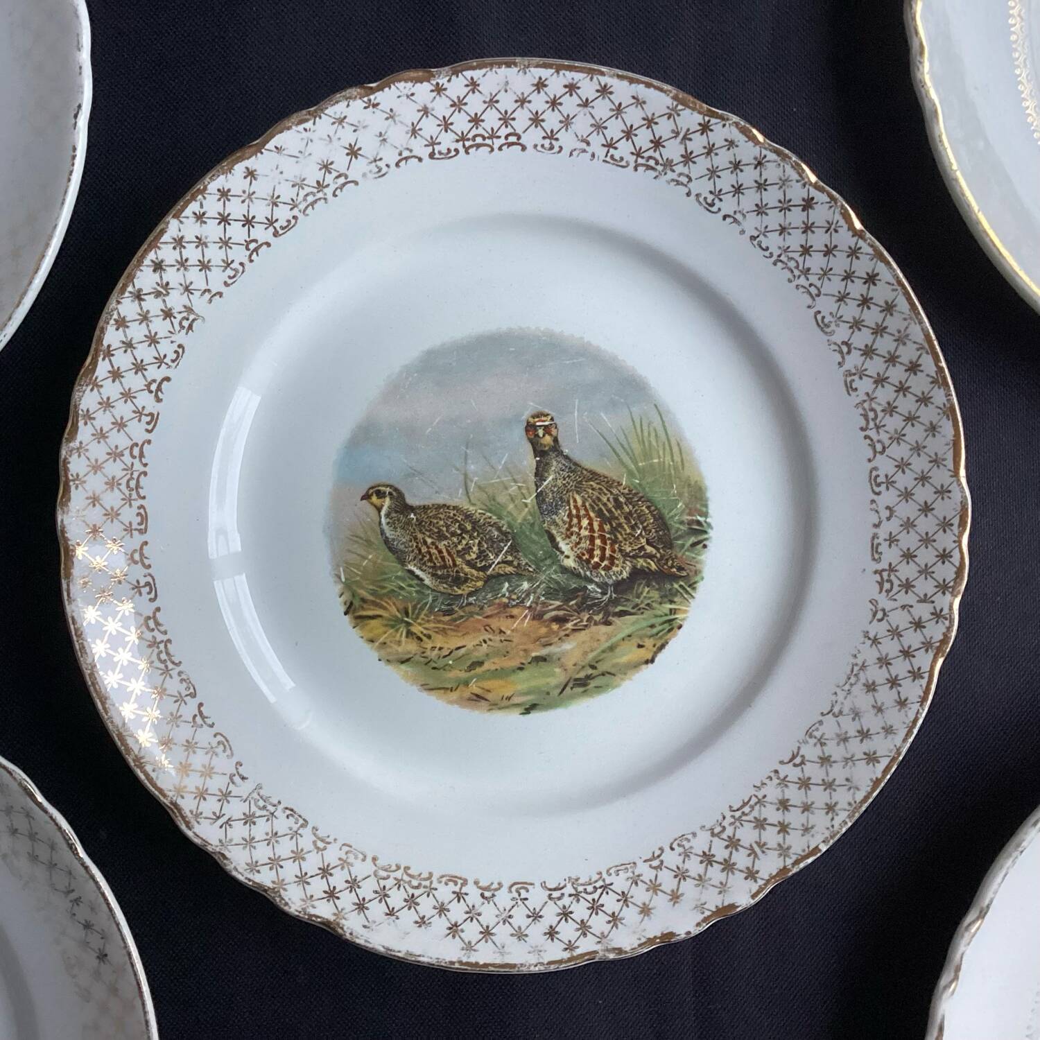 Set of 5 Moulin des Loups flat plates