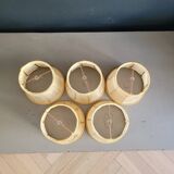 Set of 5 clip lampshades made from pig bladder.