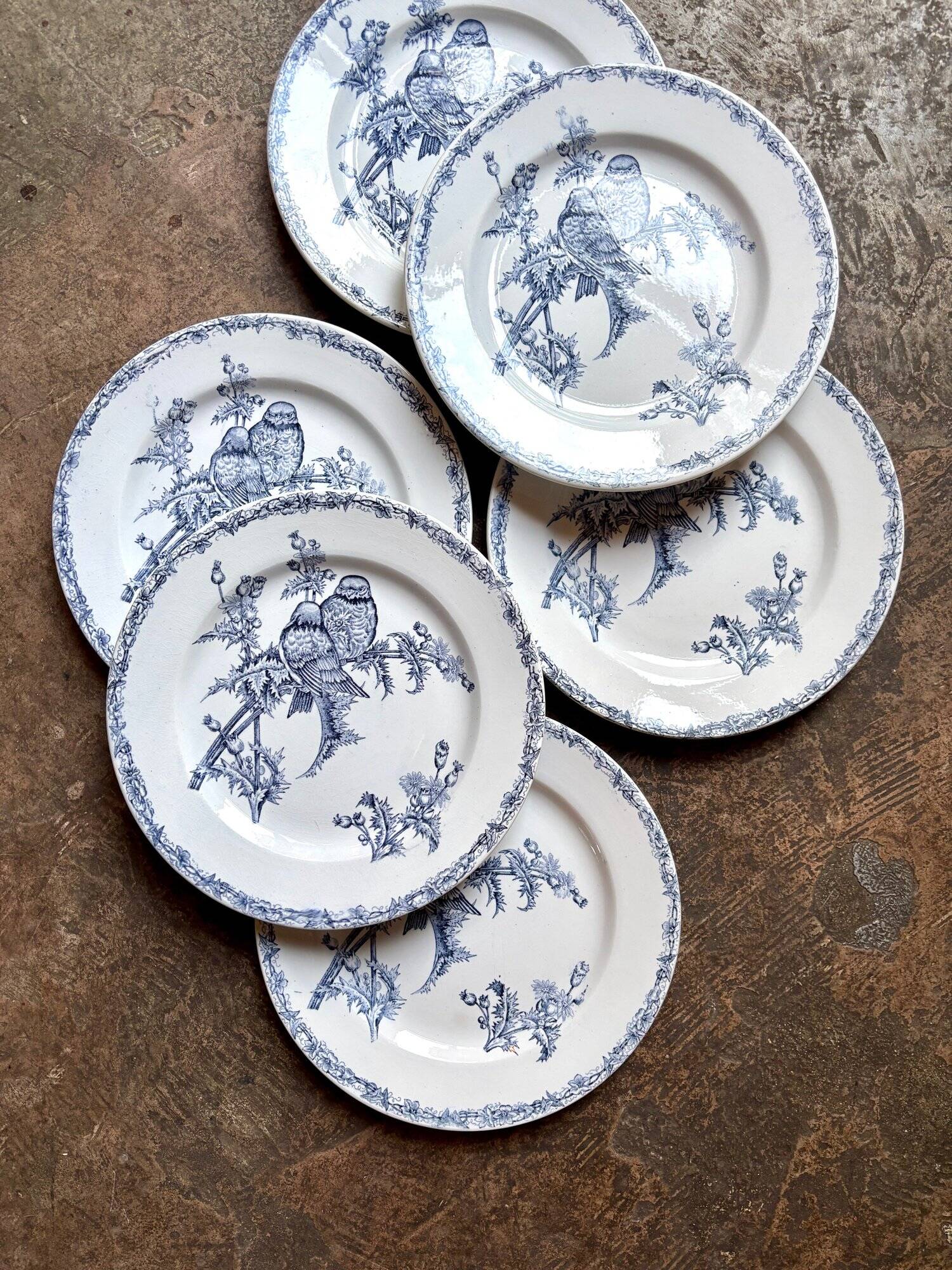 6 flat plates Clairefontaine - Léon Graves in ironstone, "Chardonnerets" service from the late 19th century.