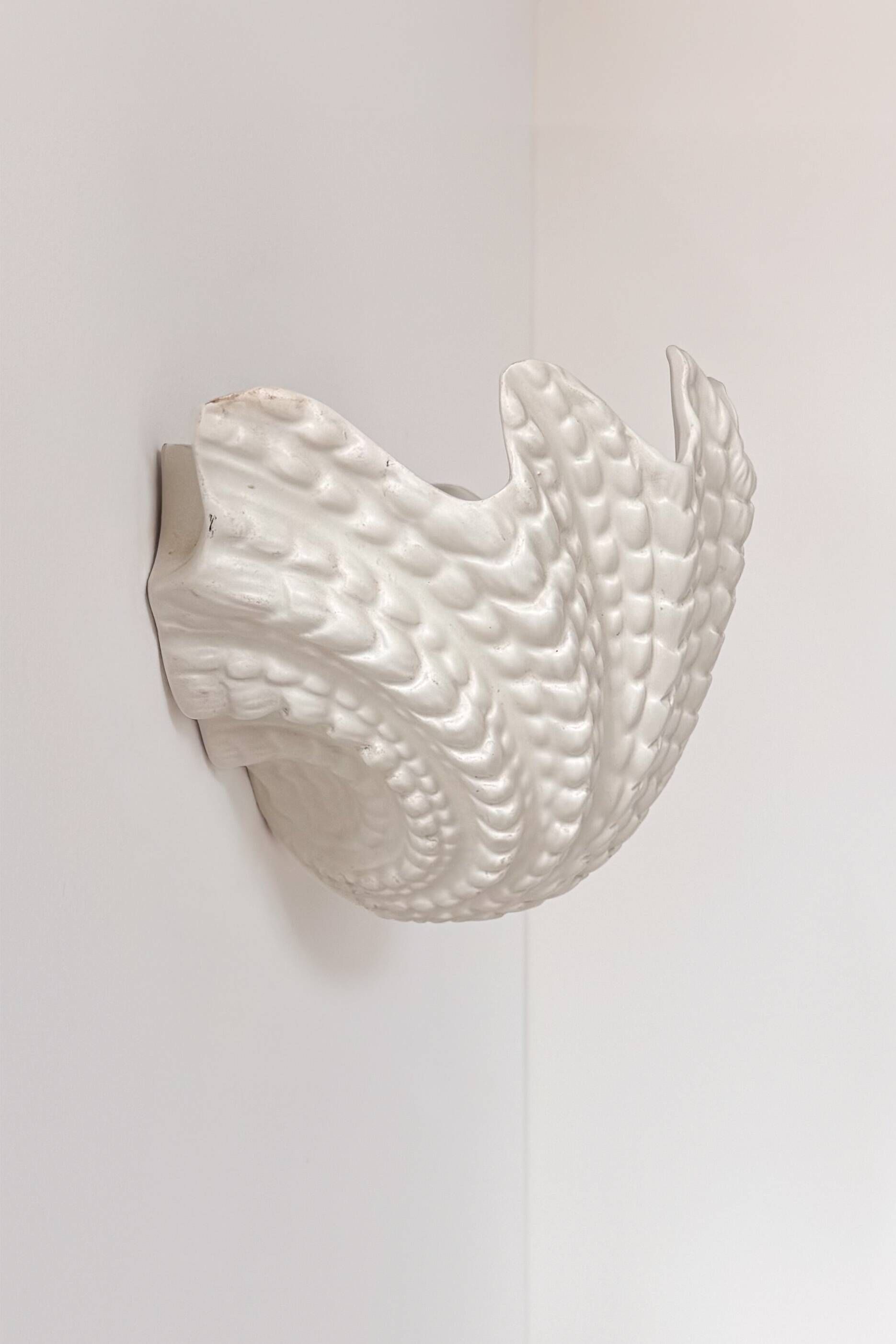 XL vintage shell wall light in plaster, France 1960