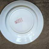 Vintage plate with carnation pattern Antibes half porcelain St Amand France