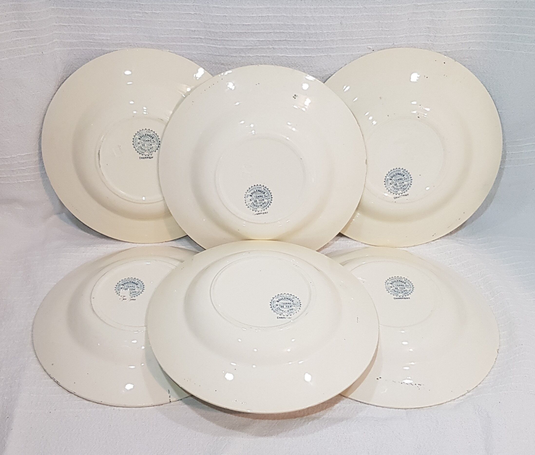 6 tablespoons in earthenware from Choisy the Champigny model King, iron earth