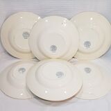 6 tablespoons in earthenware from Choisy the Champigny model King, iron earth