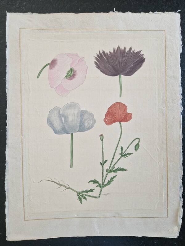 La Roche Laffitte (Born in 1943) - Watercolour drawing on silk - Poppies