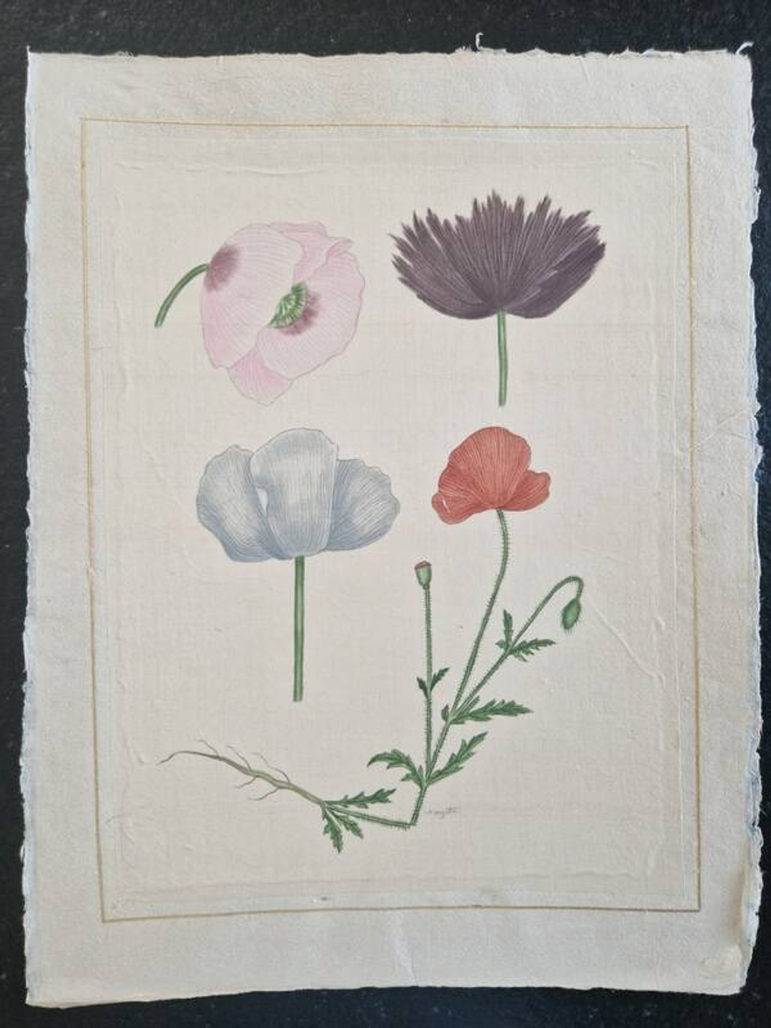 La Roche Laffitte (Born in 1943) - Watercolour drawing on silk - Poppies