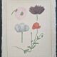 La Roche Laffitte (Born in 1943) - Watercolour drawing on silk - Poppies