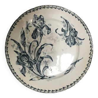Iris badonvillier flat plate