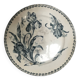 Assiette plate iris badonvillier