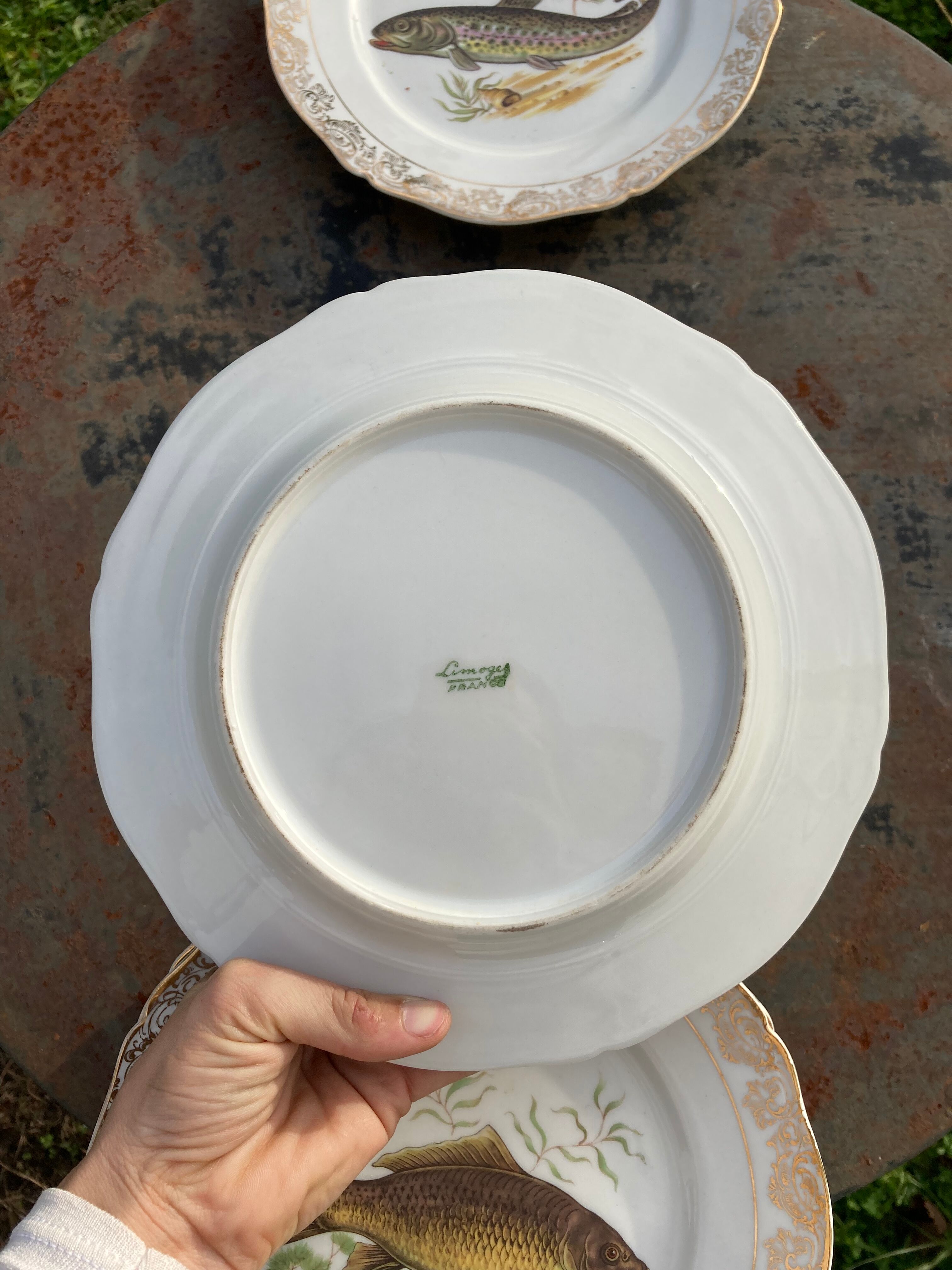 11 vintage Limoges porcelain fish plates