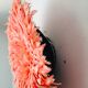 Juju hat pink 60 cm