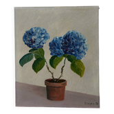 Nature morte les hortensias