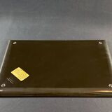 Tray in satin black resin with bird decoration 1970