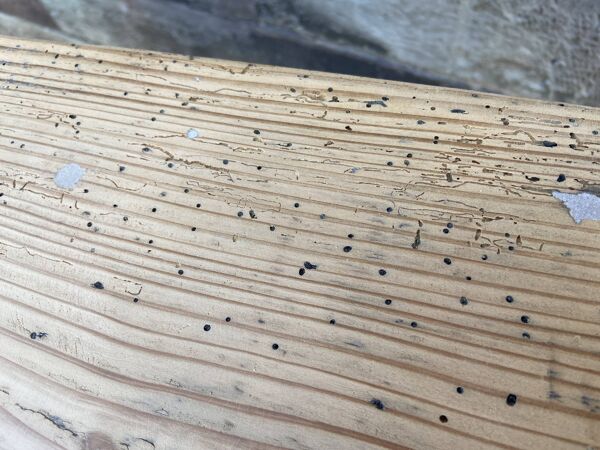 Table de ferme alsace 190cm en sapin 1900