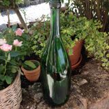 Bottle