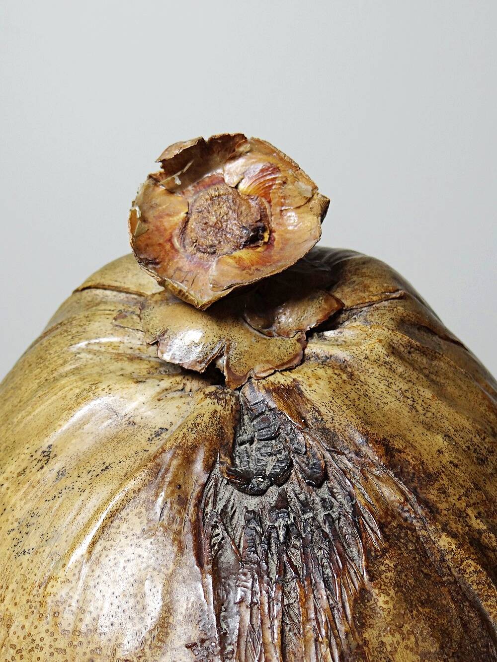 Large box/ice bucket curiosity Naturalised African Coconut vintage