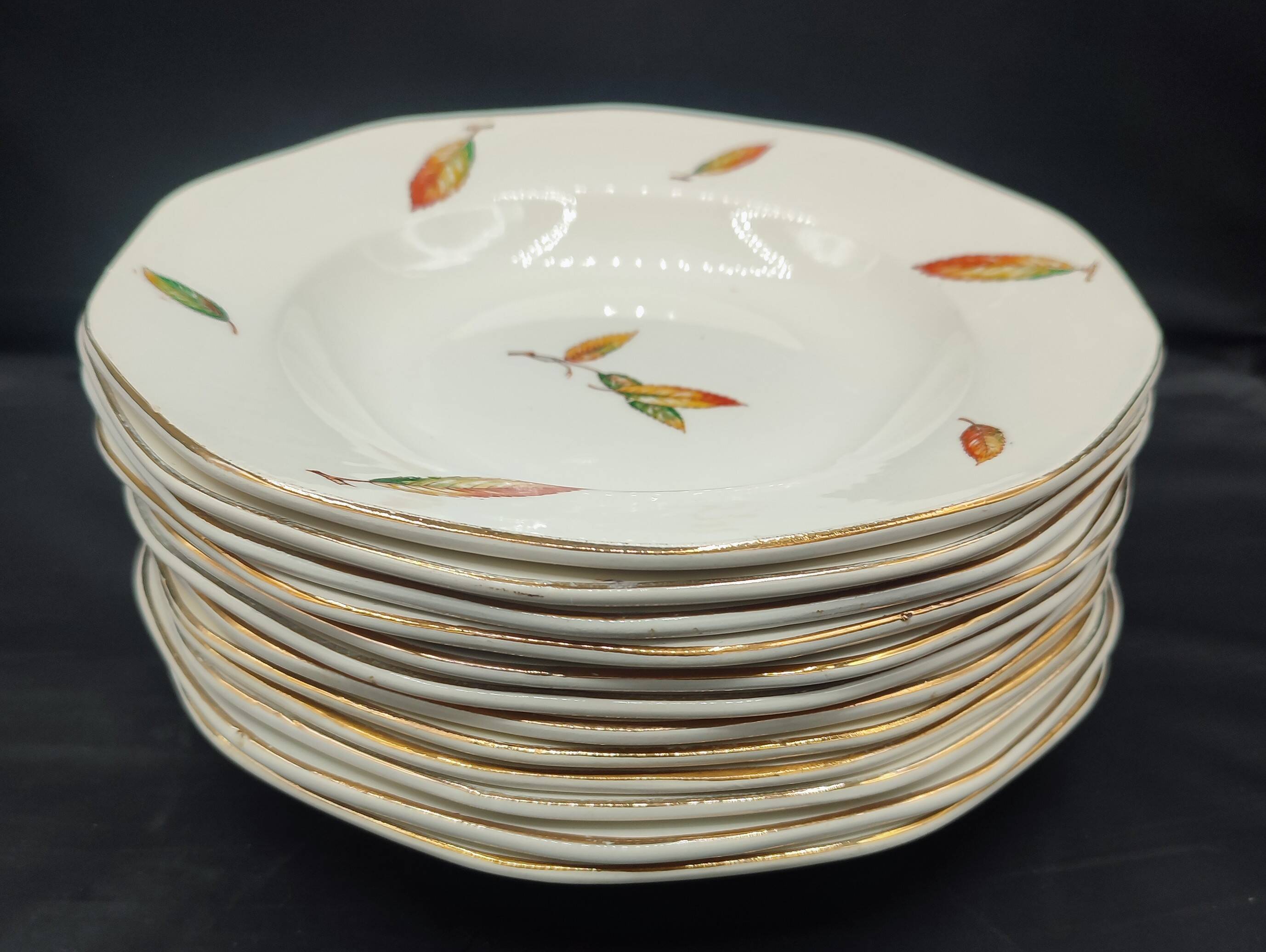 24-piece service Digoin & Sarreguemines Model "Nemours" Vintage