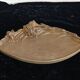 Bronze catchall