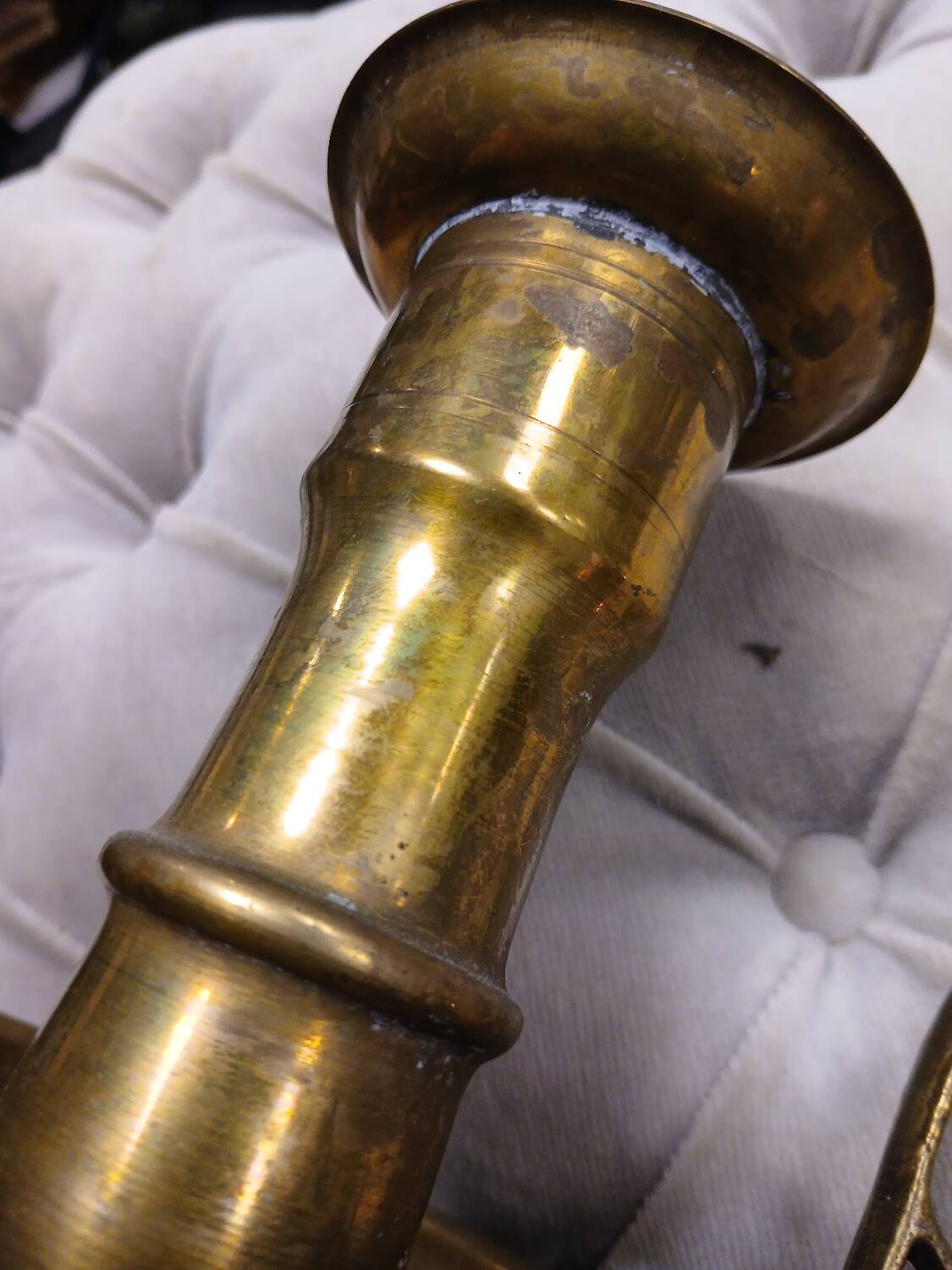 Candlestick or cellar rat