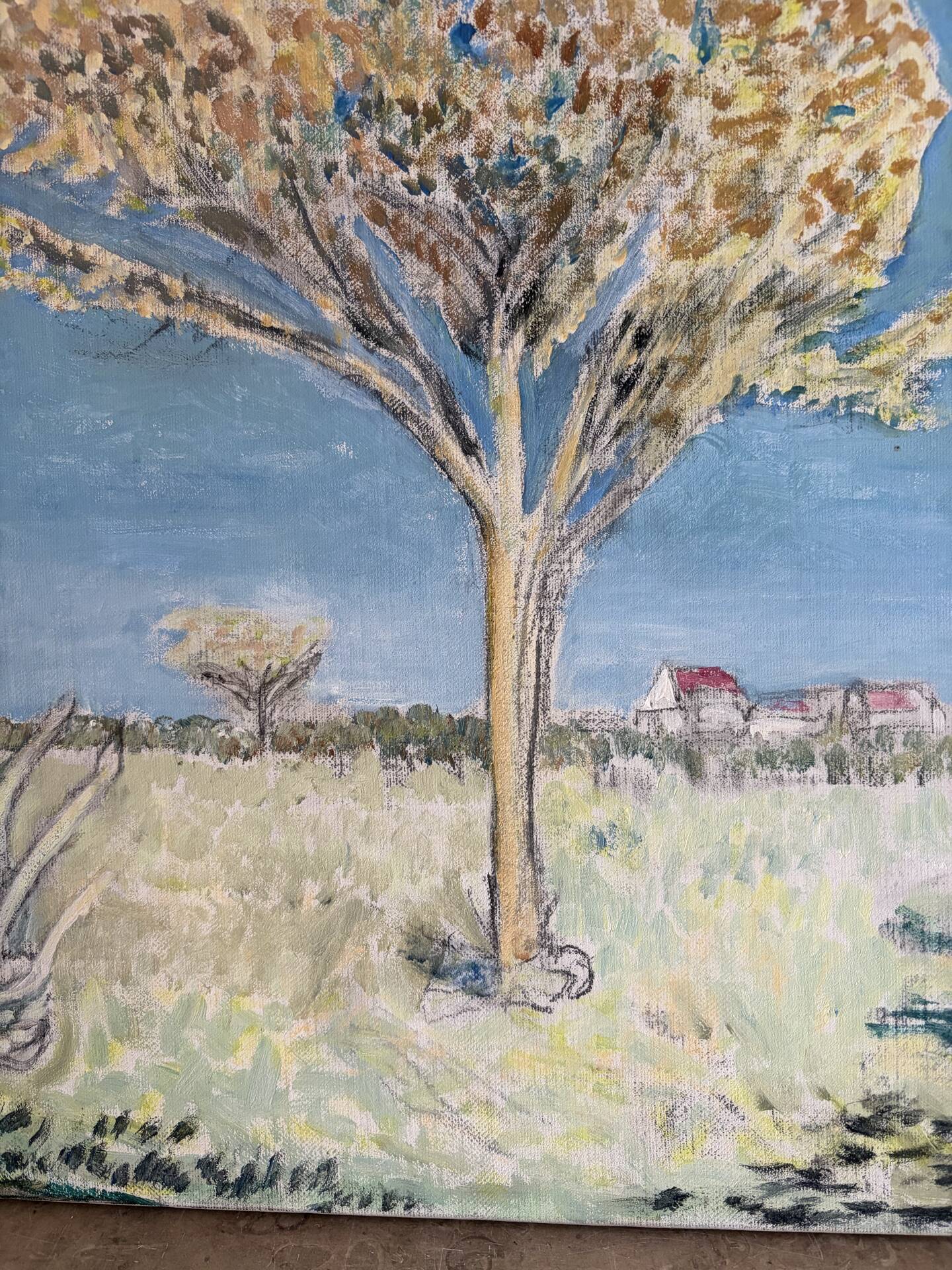 Modern Provence landscape