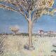 Modern Provence landscape