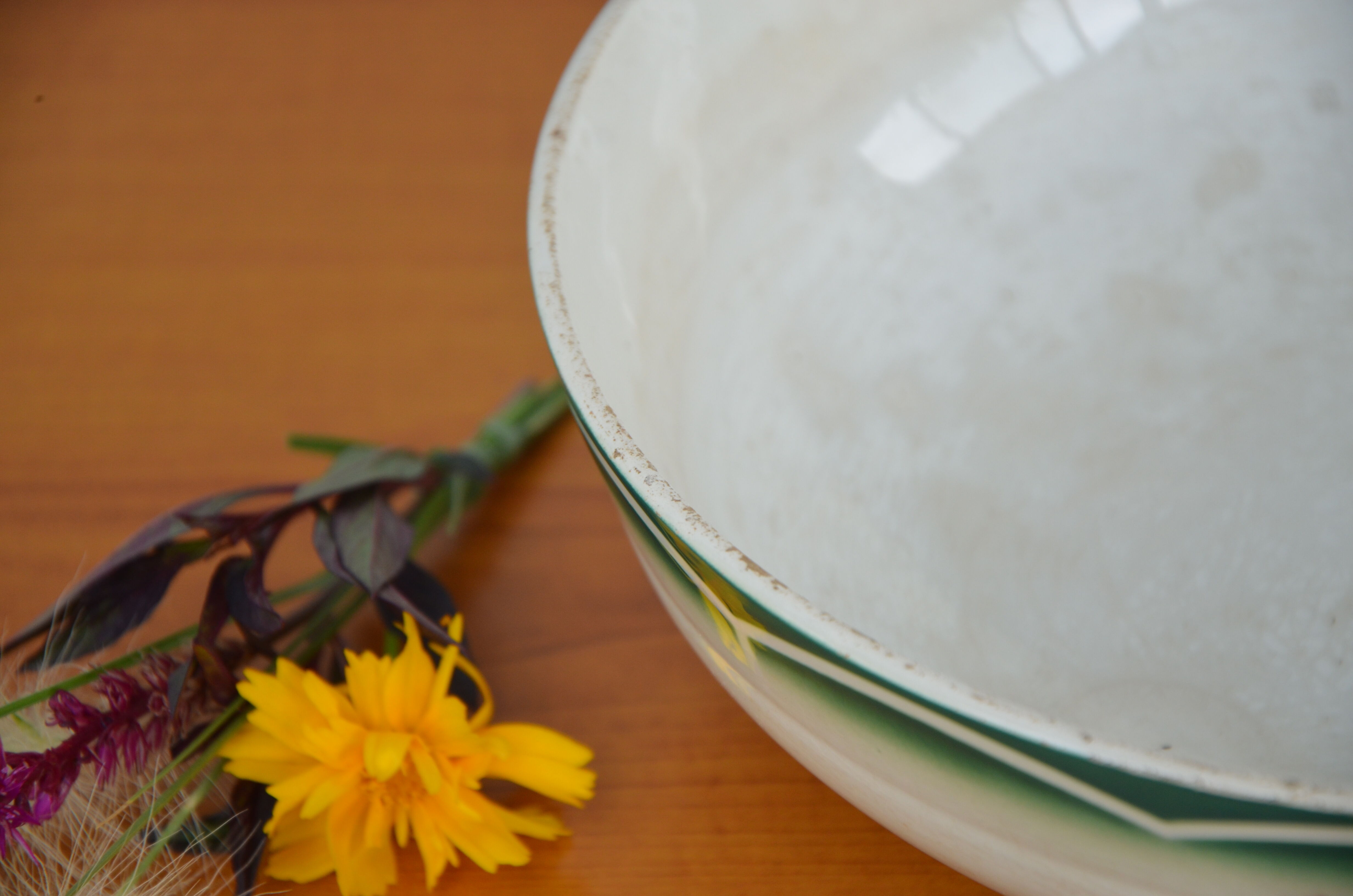 Salad bowl Digoin and Sarreguemine, Esper collection