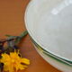 Salad bowl Digoin and Sarreguemine, Esper collection