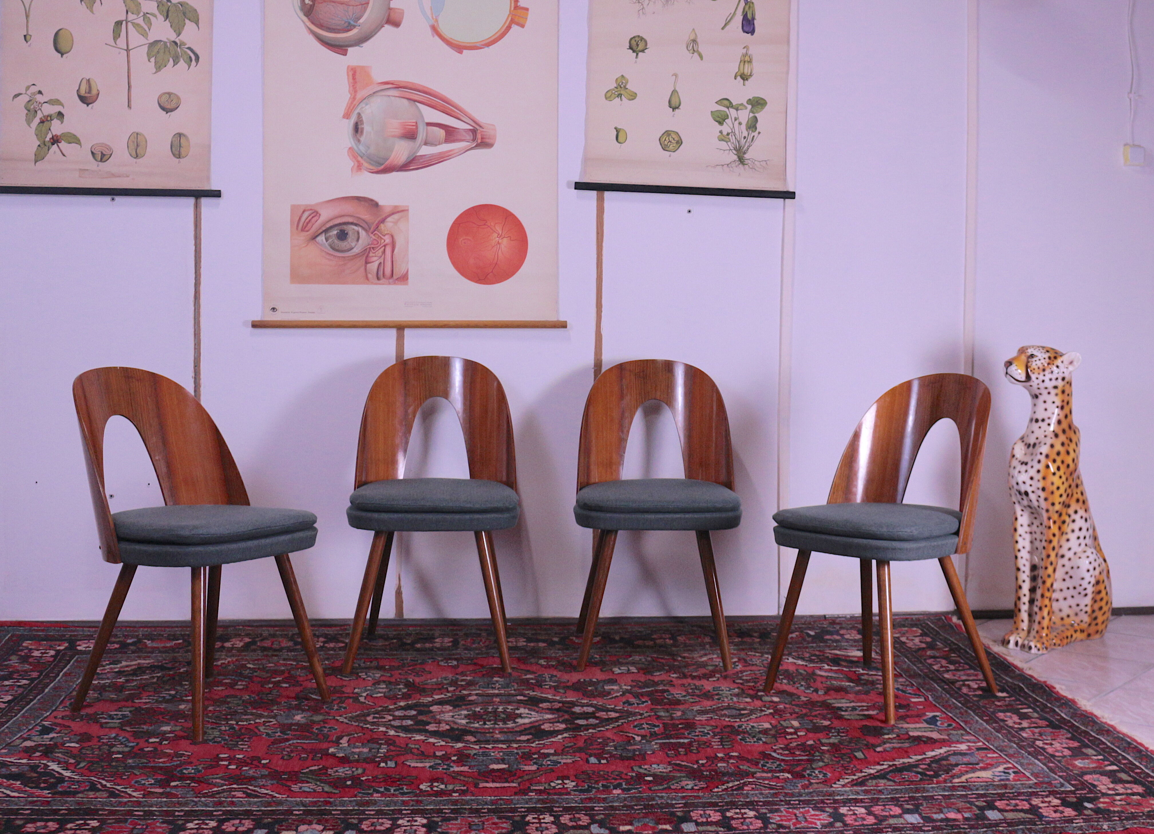 Dining chairs by A. Suman, Moer 1960