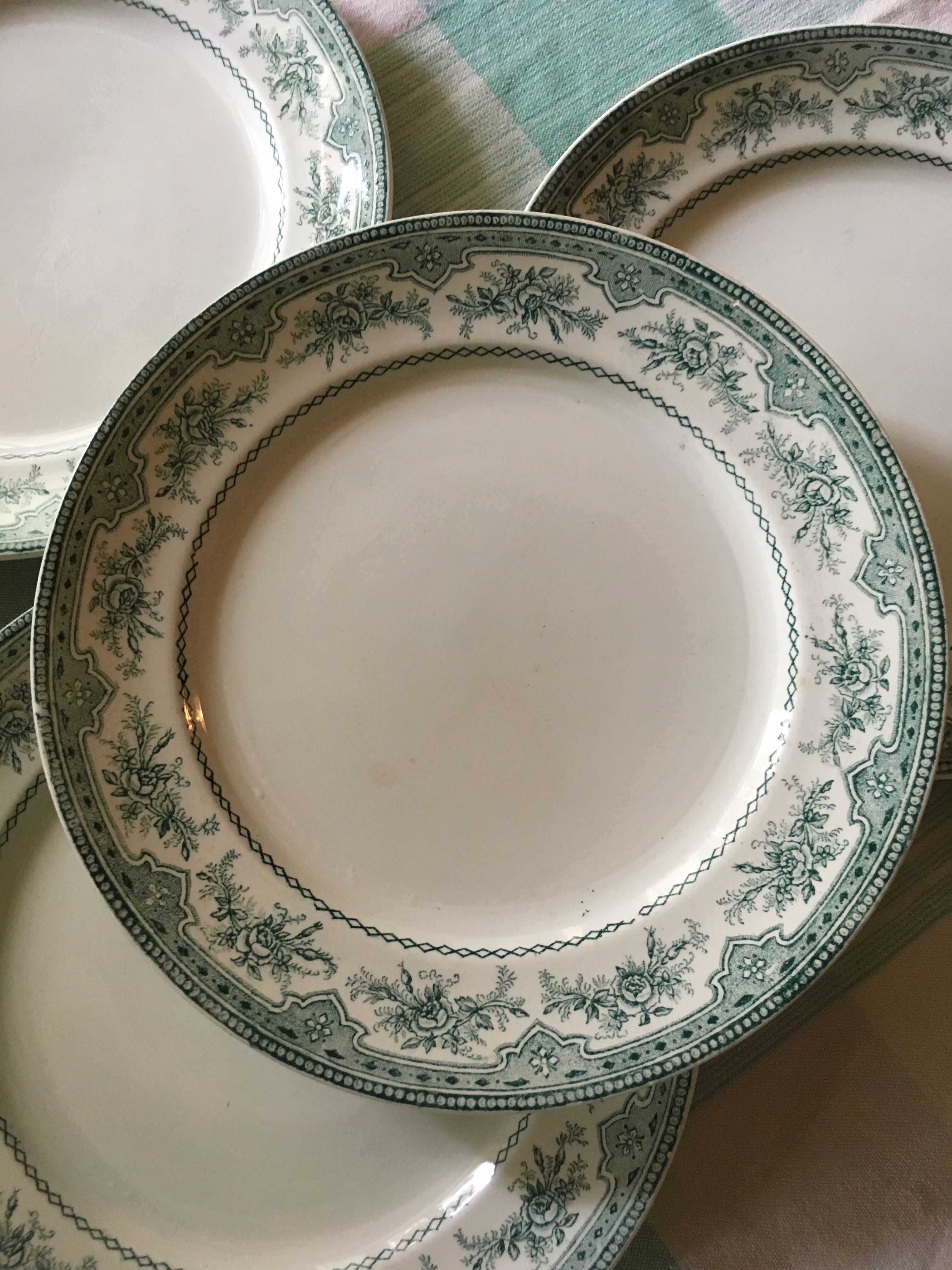 Set of flat plates Roses Mousses