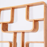 Ash Room Divider Wall Unit, Ludvik Volak for Drevopodnik Holesov, 1960s