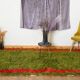 Handmade pure wool rug in green and red, size 140/260 cm.