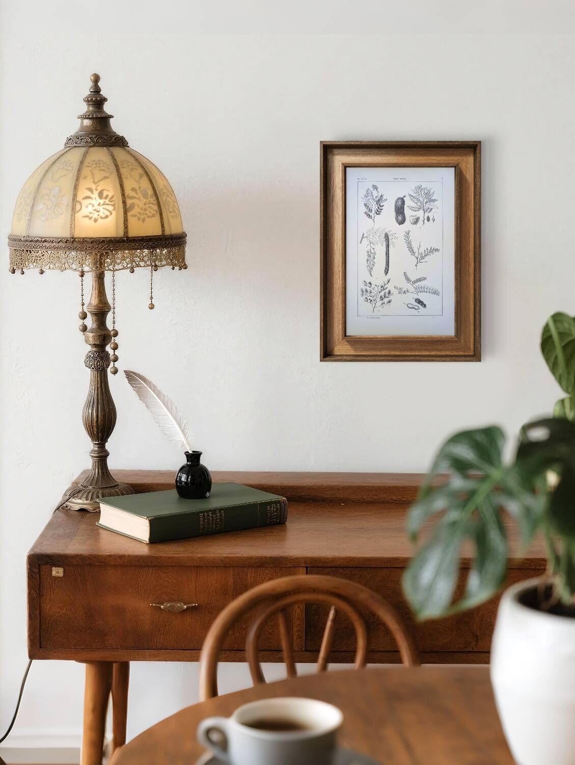 Imprimée en 1889, les légumineuses. Planche botanique ancienne.