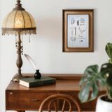 Imprimée en 1889, les légumineuses. Planche botanique ancienne.