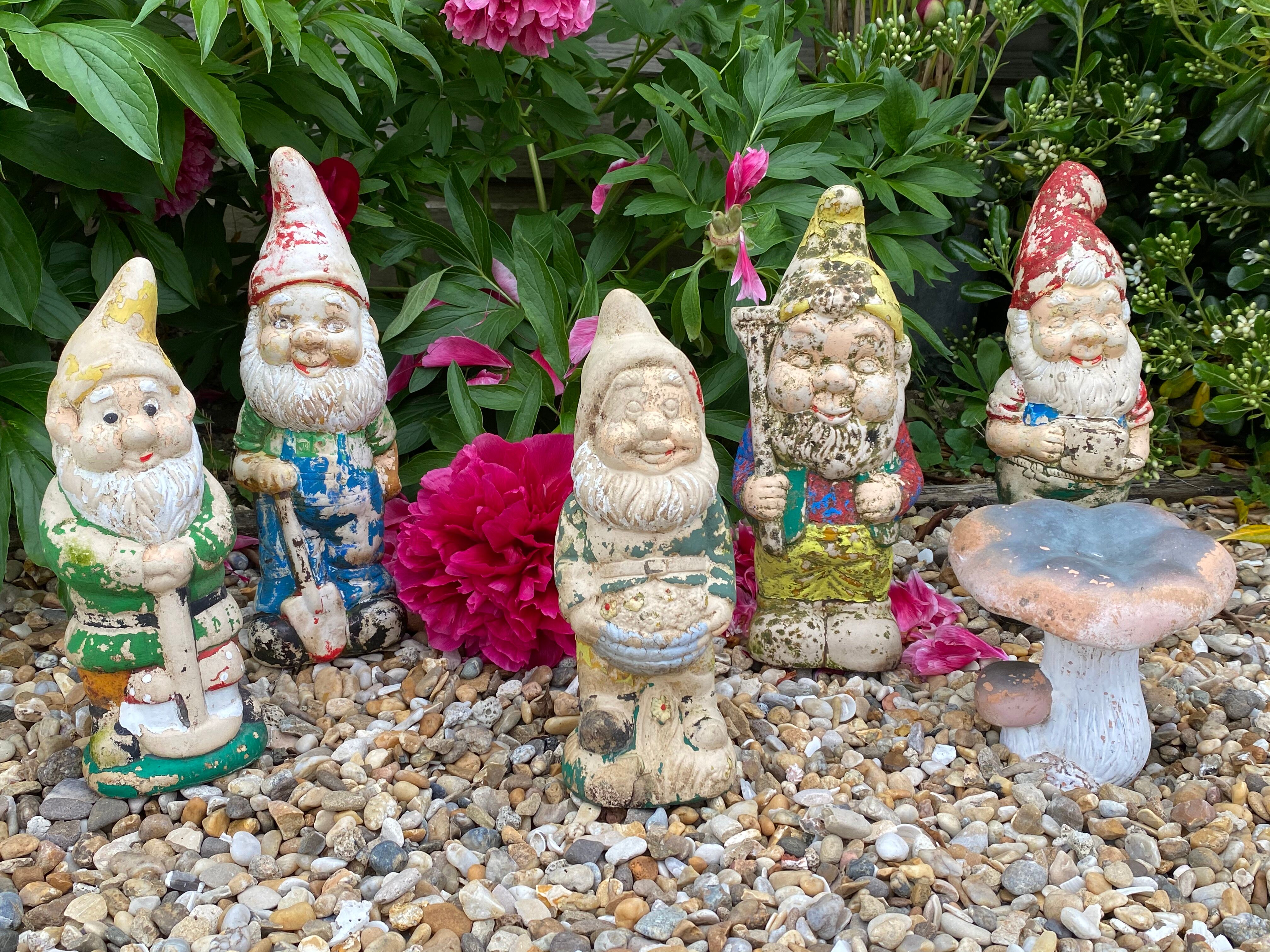 Garden gnome