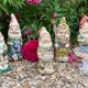 Garden gnome