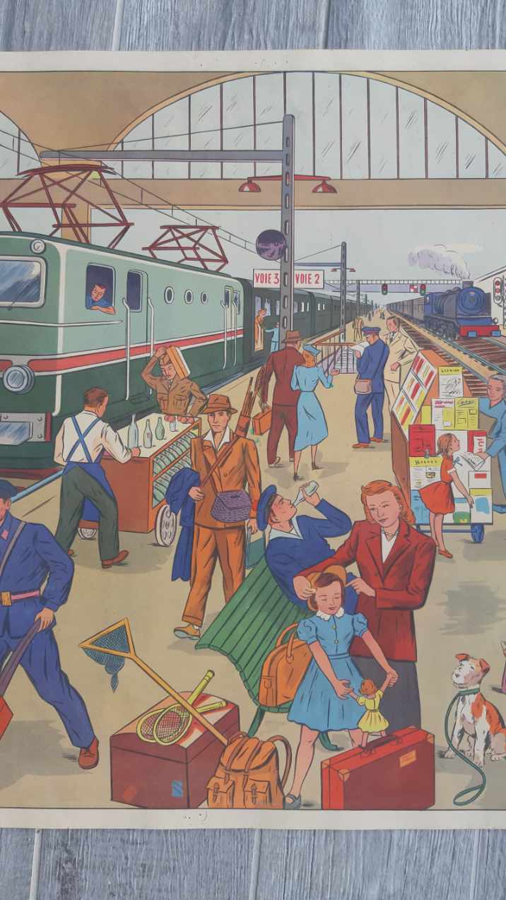 Educational school poster