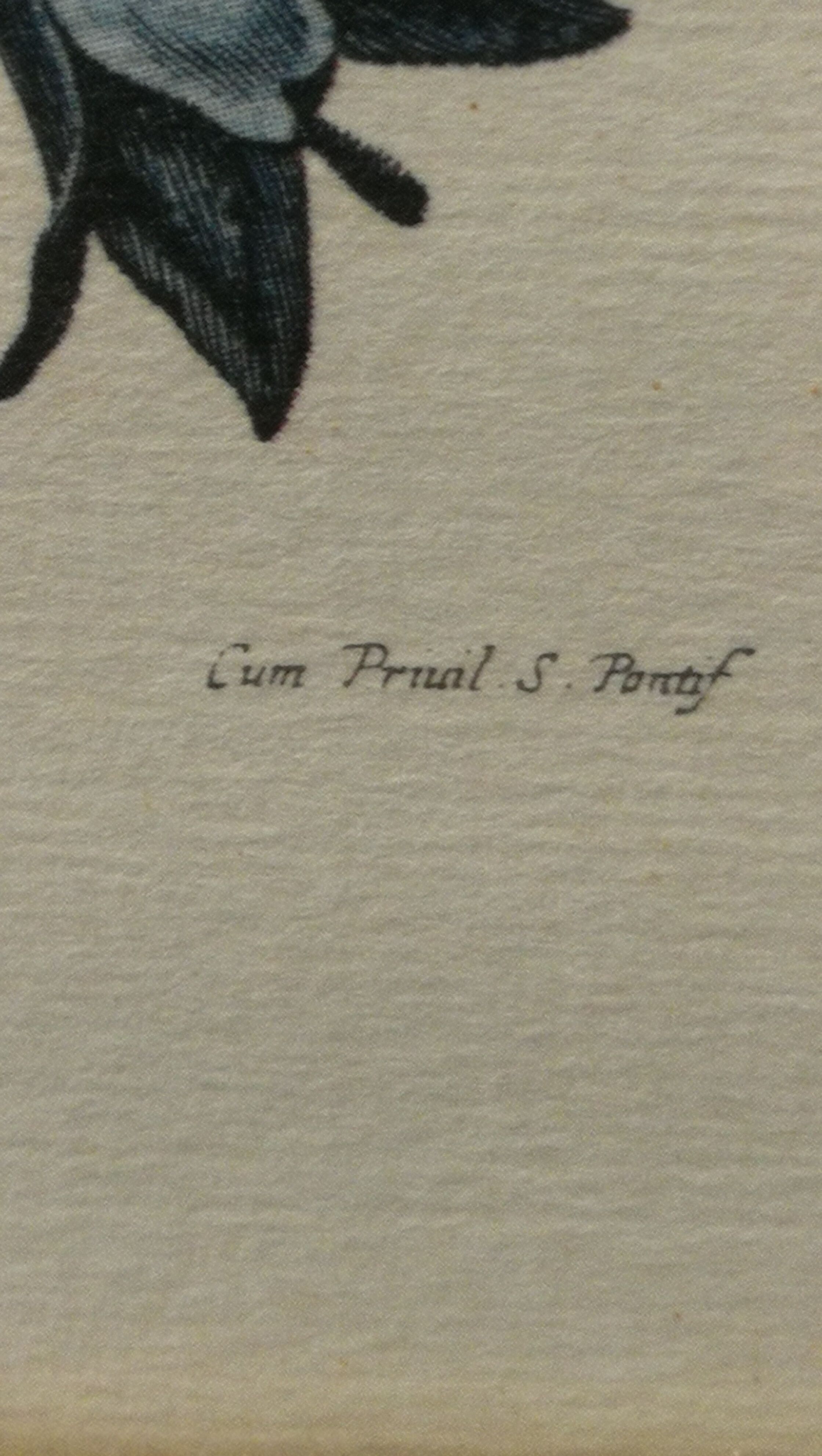 Two botanical frames oj Jacobus de Rubeis