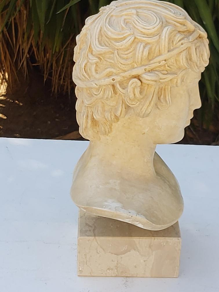 Plaster and marble bust