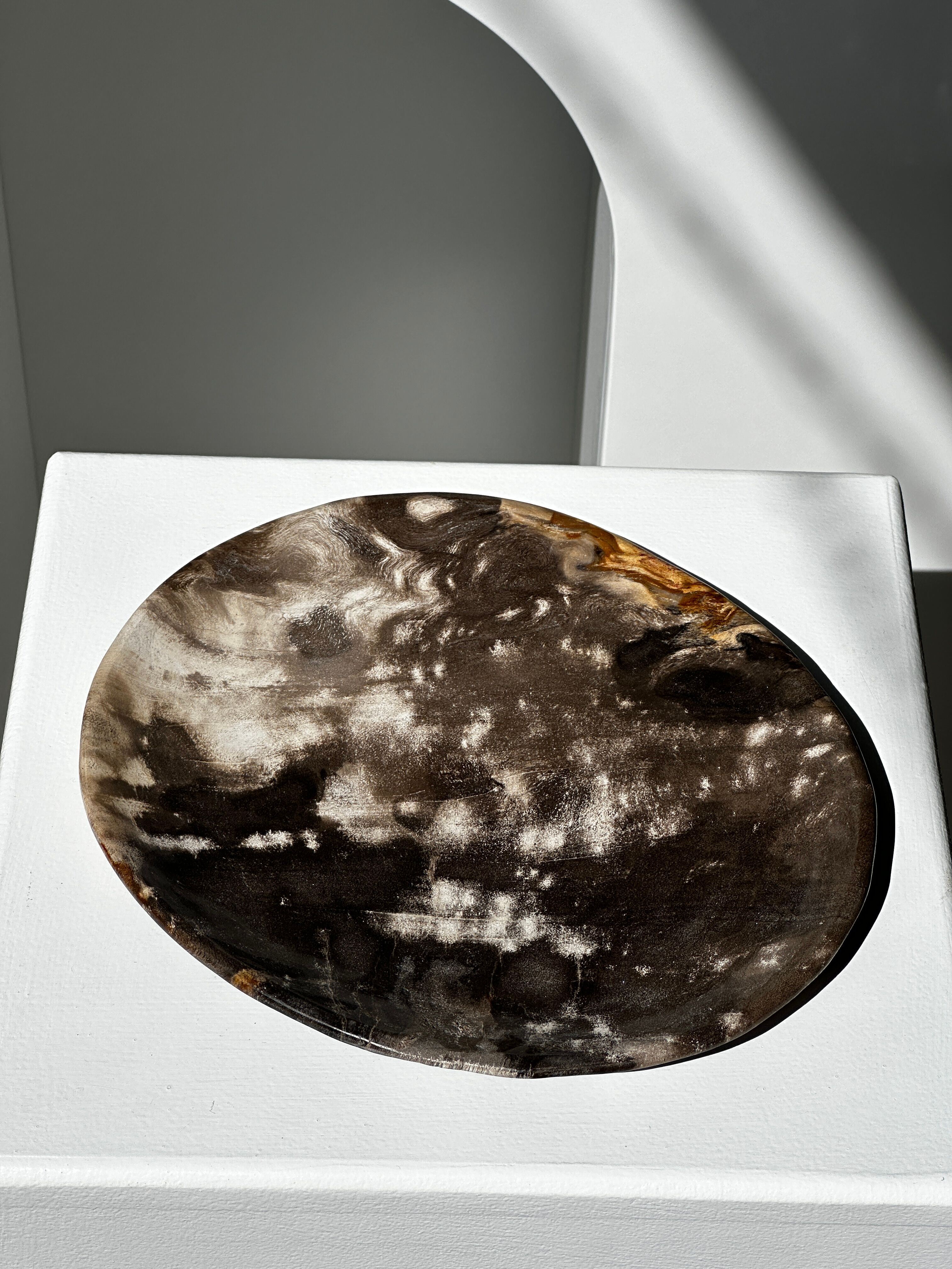 Dish in petrified wood