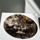 Dish in petrified wood