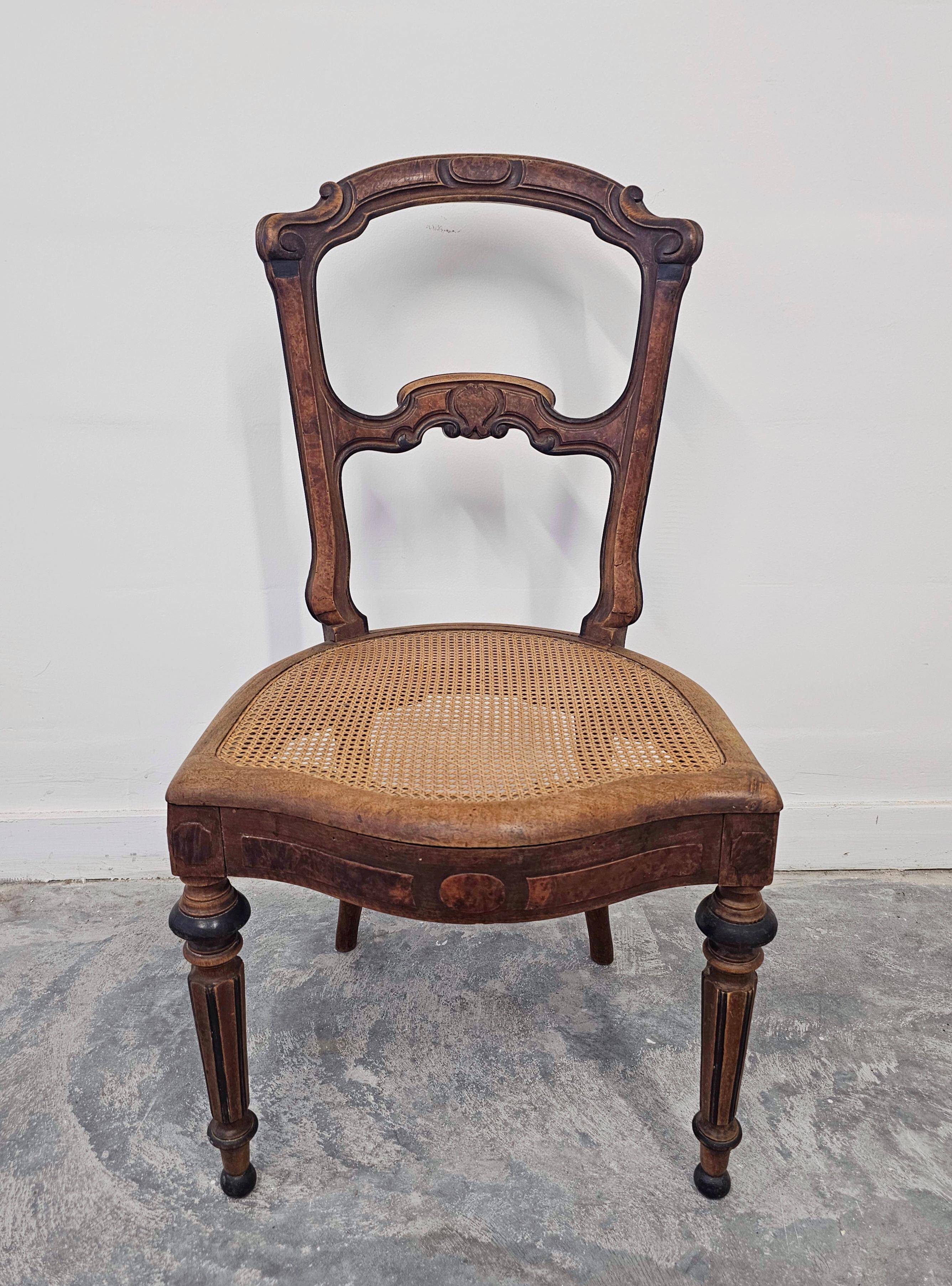 Set of 6 antique dining chairs in solid walnut, cane seats, 19th century.
