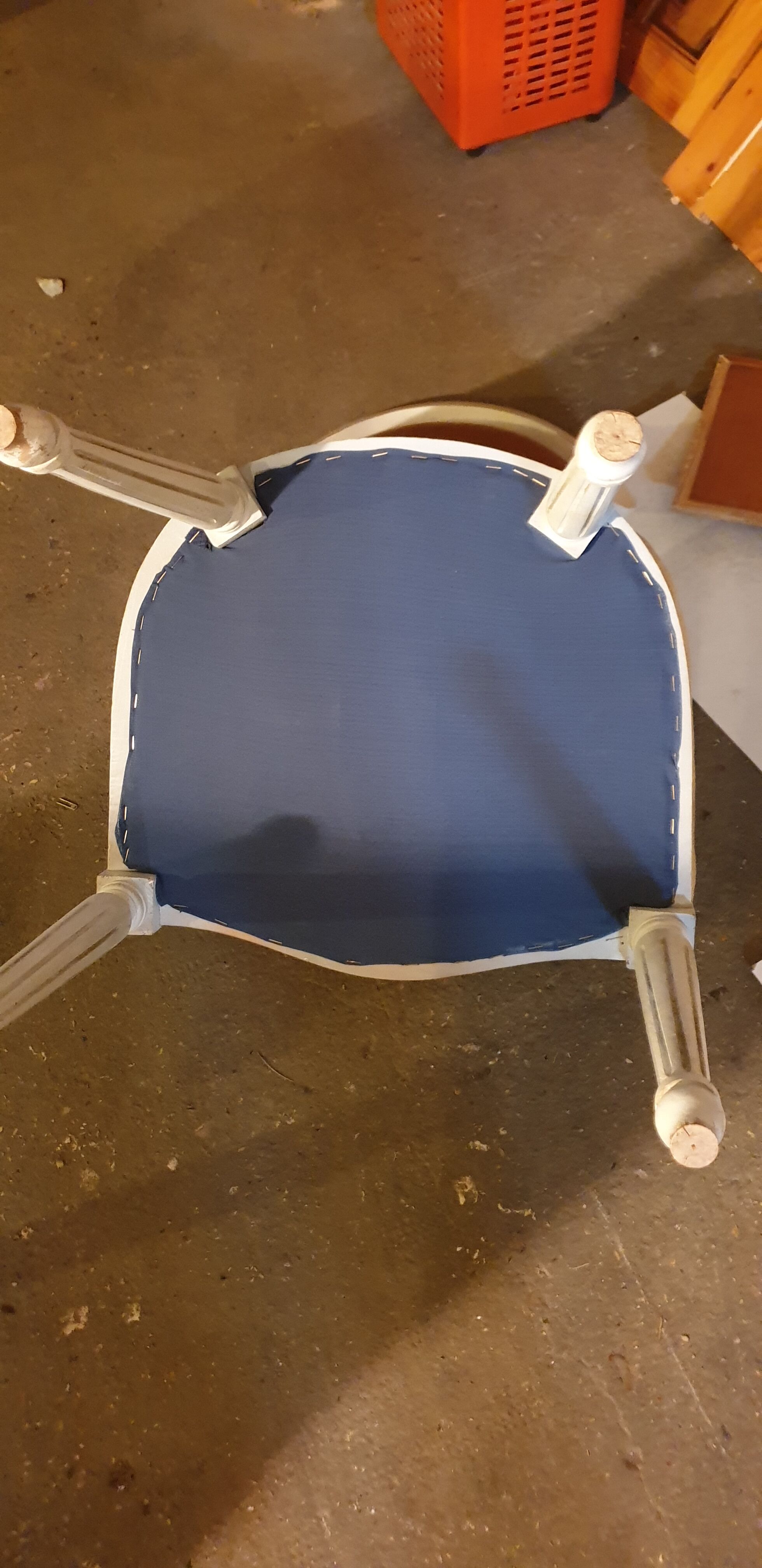 Chairs medallion Louis Louis XVI