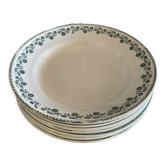 7 assiettes creuses terre de fer collection georgette de moulin des loups et hamage france. joli motif floral vert. quelques traces du temps mais reste tout de meme en tres bon etat