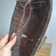Scultated African mask